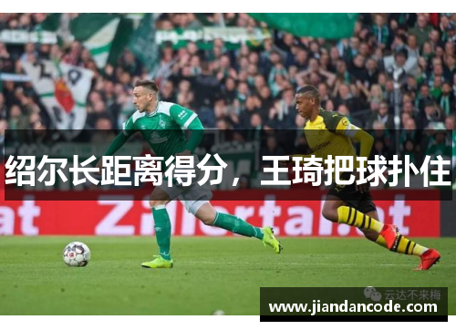 绍尔长距离得分，王琦把球扑住