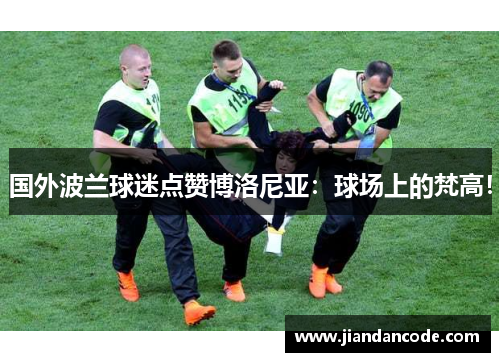 国外波兰球迷点赞博洛尼亚：球场上的梵高！
